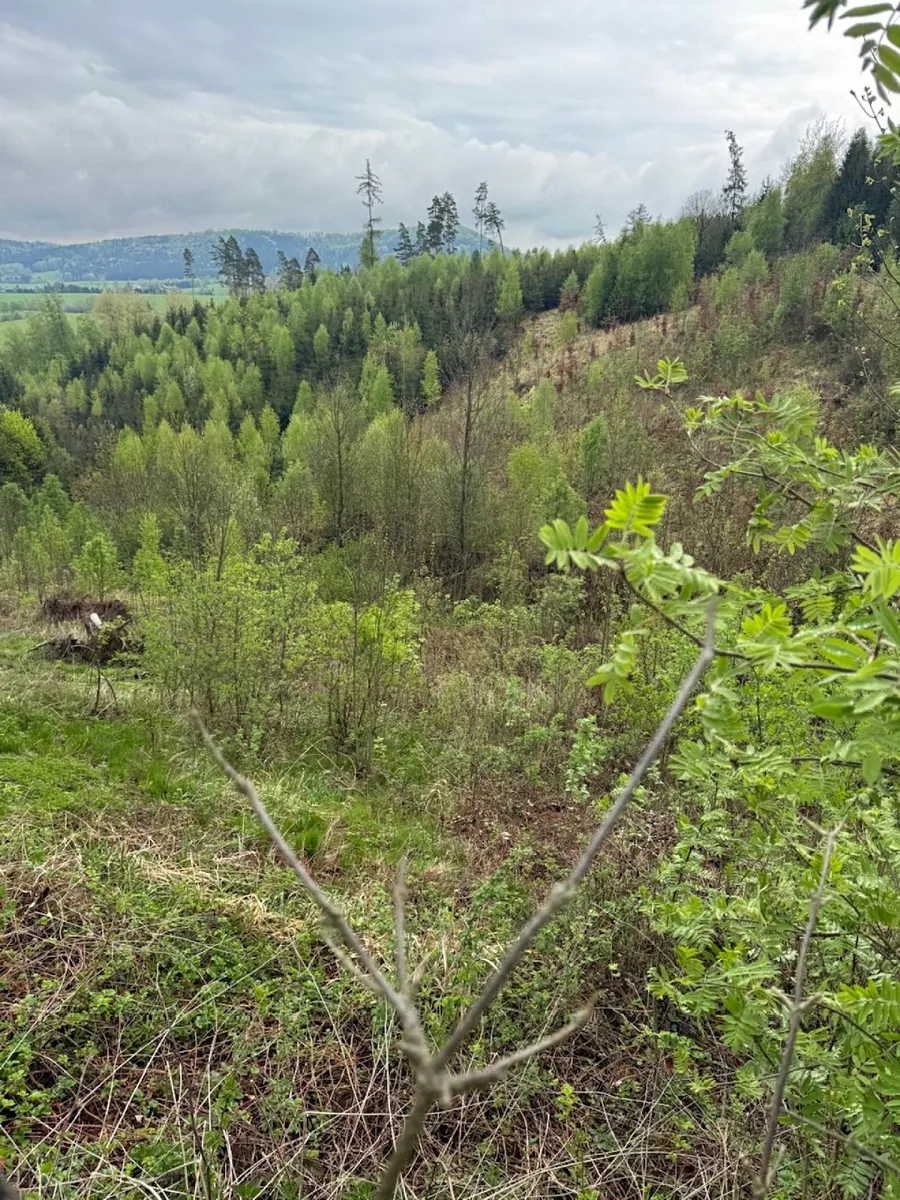 Fotka 9 z 15